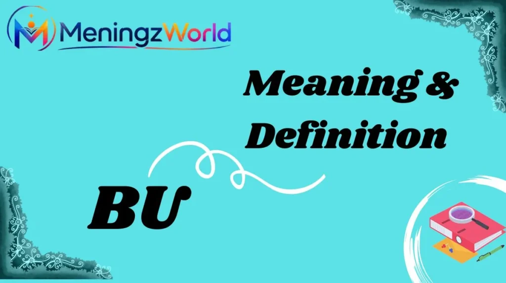 Meaning & Definition