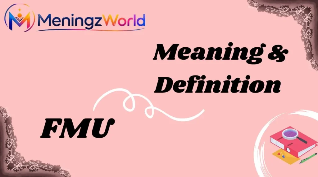 Meaning & Definition
