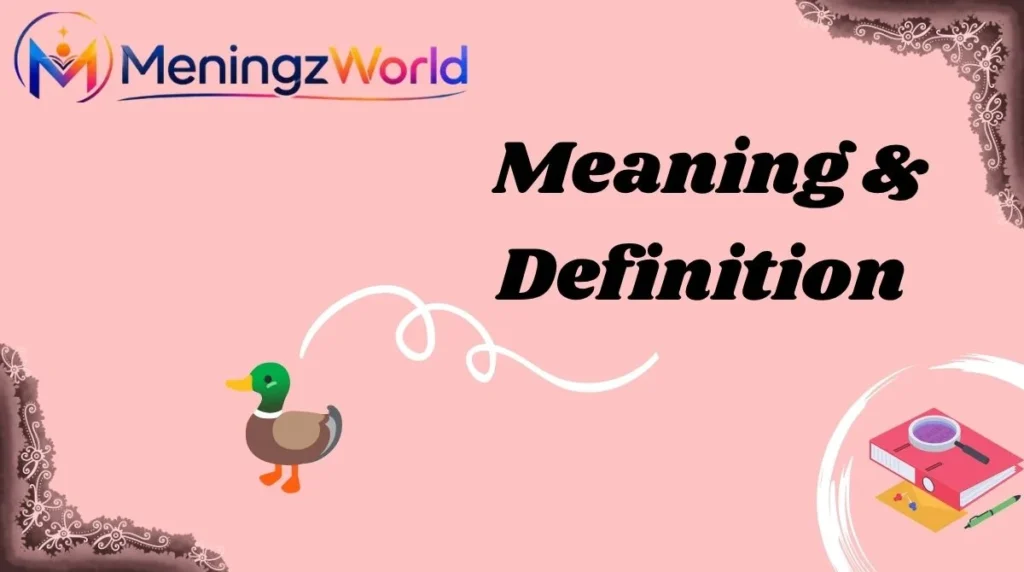 Meaning & Definition
