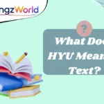 What Does HYU Mean in Text?