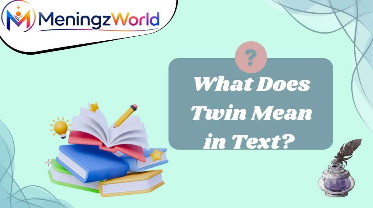 What Does Twin Mean in Text?