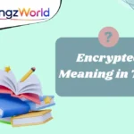Encrypted Meaning in Text