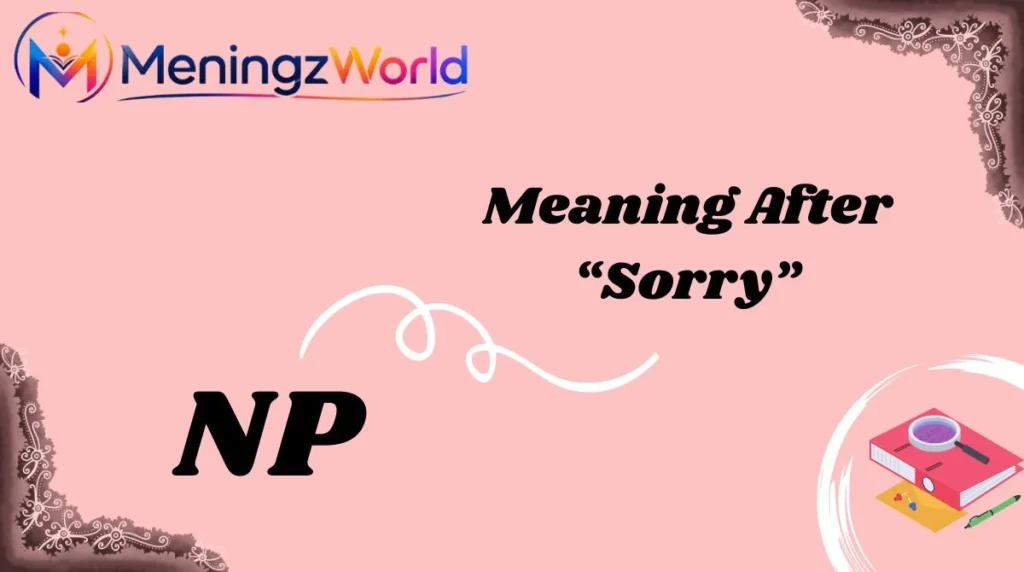 NP Meaning After “Sorry”