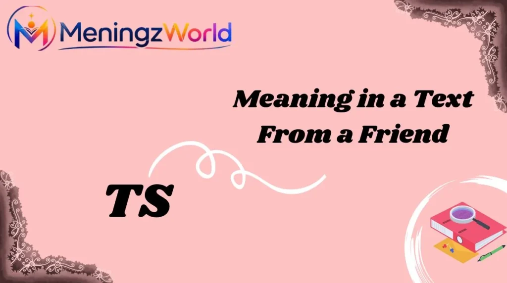 TS Meaning in a Text From a Friend